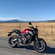 Image for article titled The 2020 Honda CB650R Is A Back-To-Basics Answer To Every Motorcycle Question